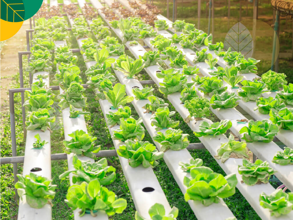 Leafora Agro Industri