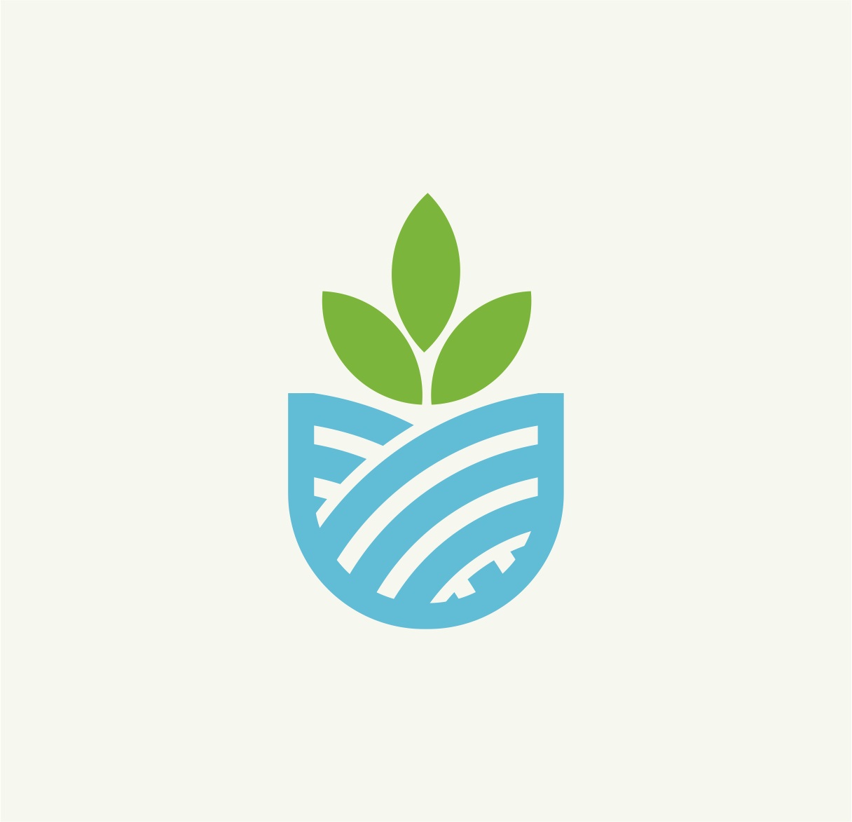 From Farm to Market: Our Fresh Produce Journey